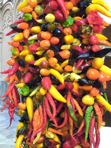 chilier.friske