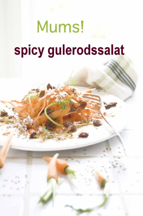 gulerodssalat-m-ingefc3a6r-1-kopi