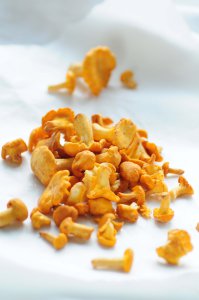 kantareller