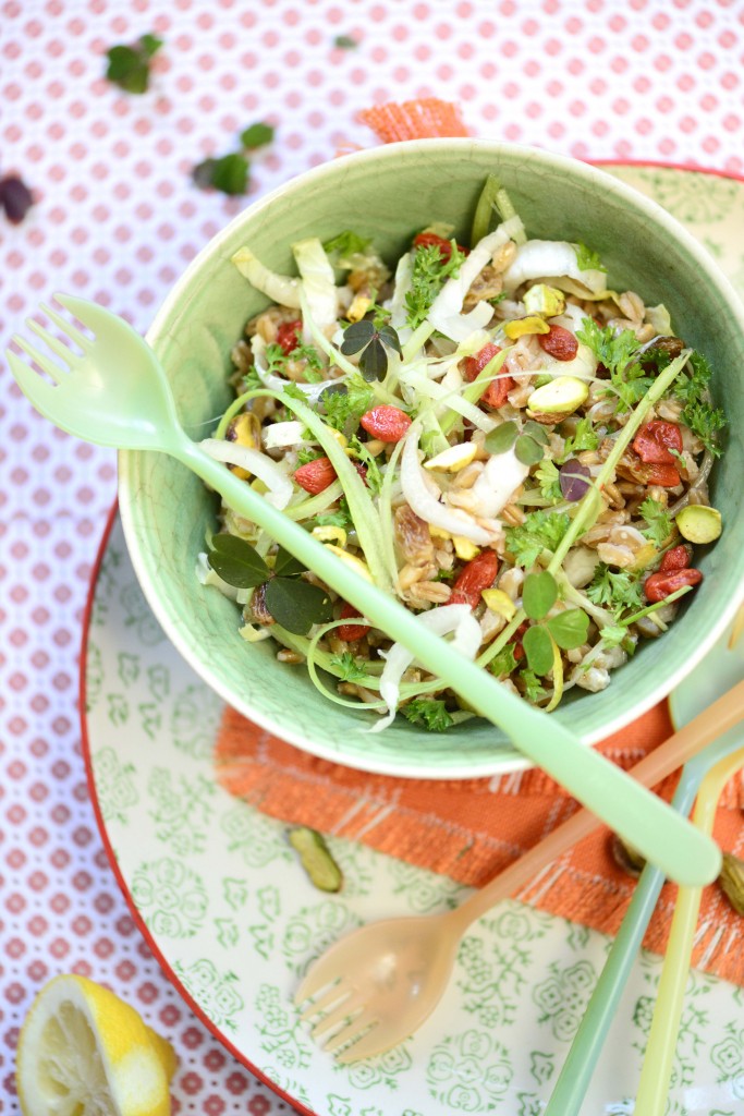speltsalat m julesalat 1