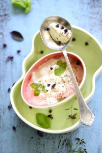yogurtdip