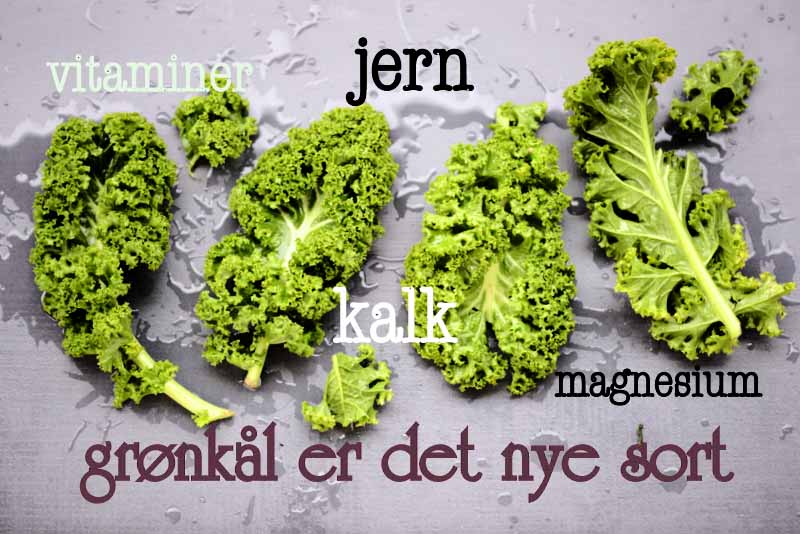 grønkålsblade m tekst