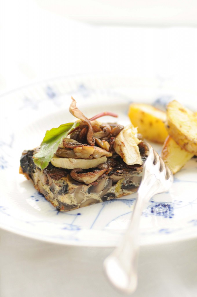 svampeterrine-3