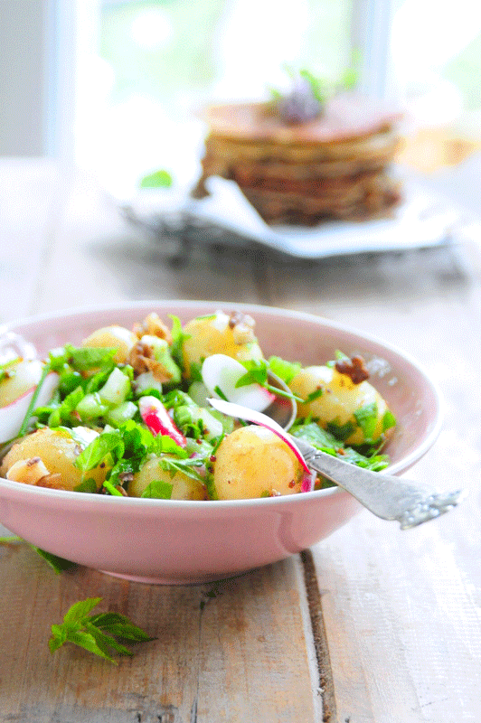 kartoffelsalat-m-skvalderkål.2