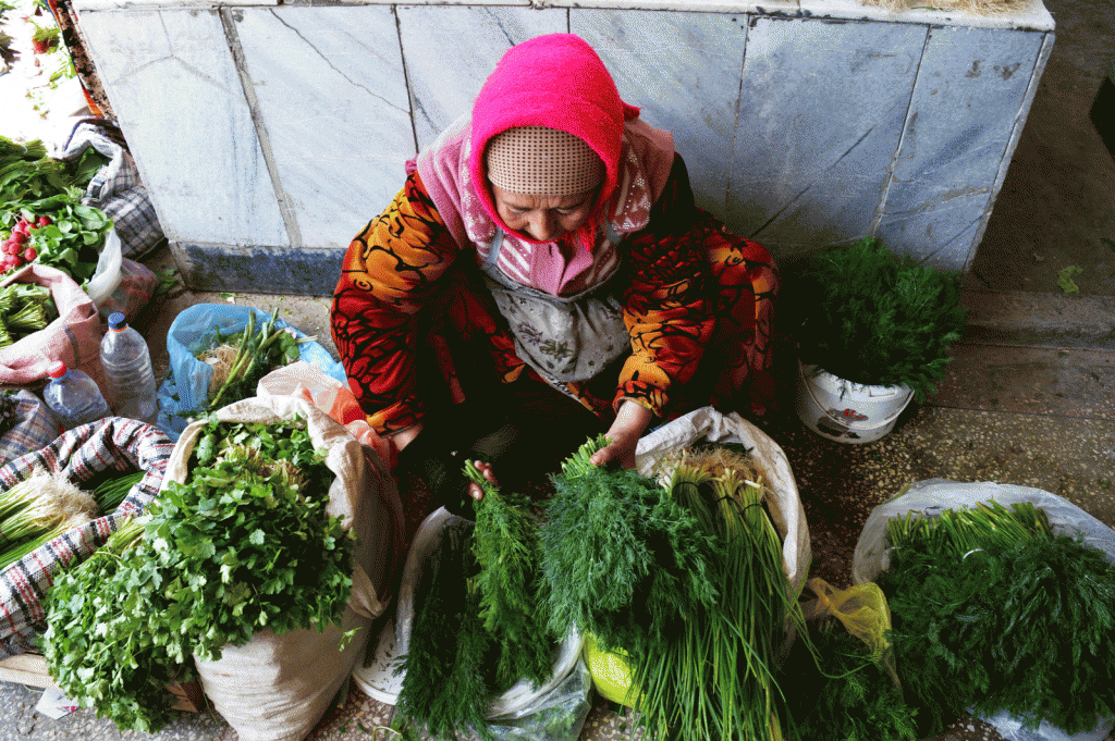Uzbekistan.krydderurter